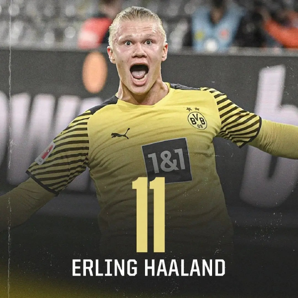 人脸识别结 人脸识别结