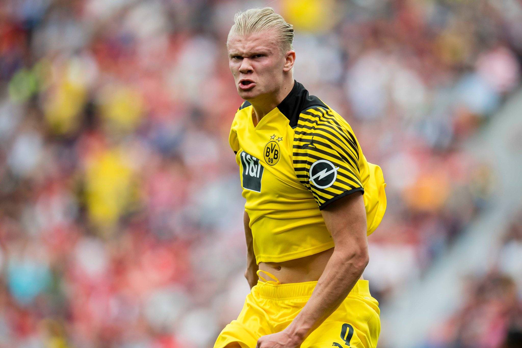 的第二组镜 的第二组镜